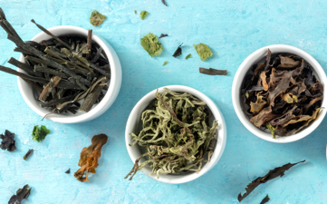 German Algae List open for discussion